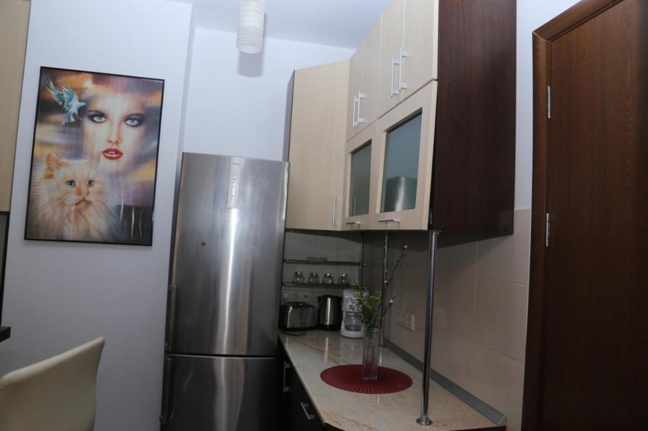 Balcescu Alina'S Apartament Sibiu Exterior photo